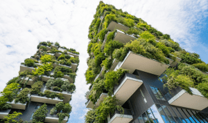 sustainable houses